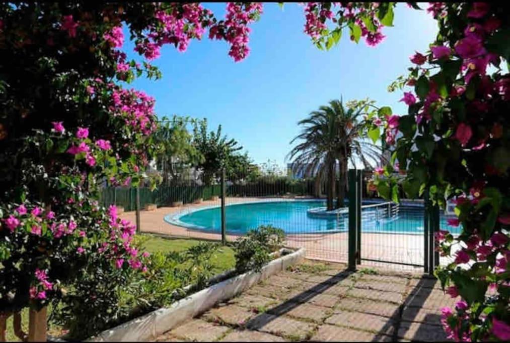 Sa Caleta Blava Apartment Cala'N Blanes  Exterior photo